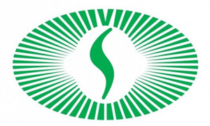 Patvirtintos smurto prevencijos įgyvendinimo mokyklose rekomendacijos